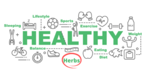 Healthier Lifestyle